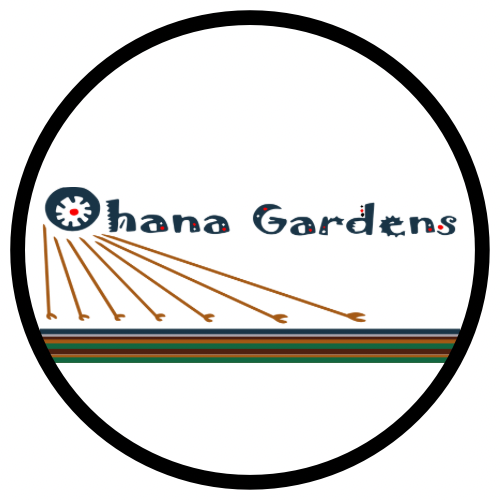 Ohana Gardens Detroit Allied Media Projects