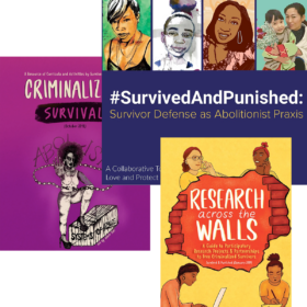 Colorful collage of three different resources from Survived and Punished