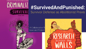 Colorful collage of three different resources from Survived and Punished