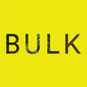 BULK SPACE logo