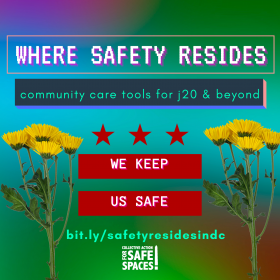 Dandelions with the title "Where Safety Resides - community care tools for j20 & beyond" "We Keep Us Safe"